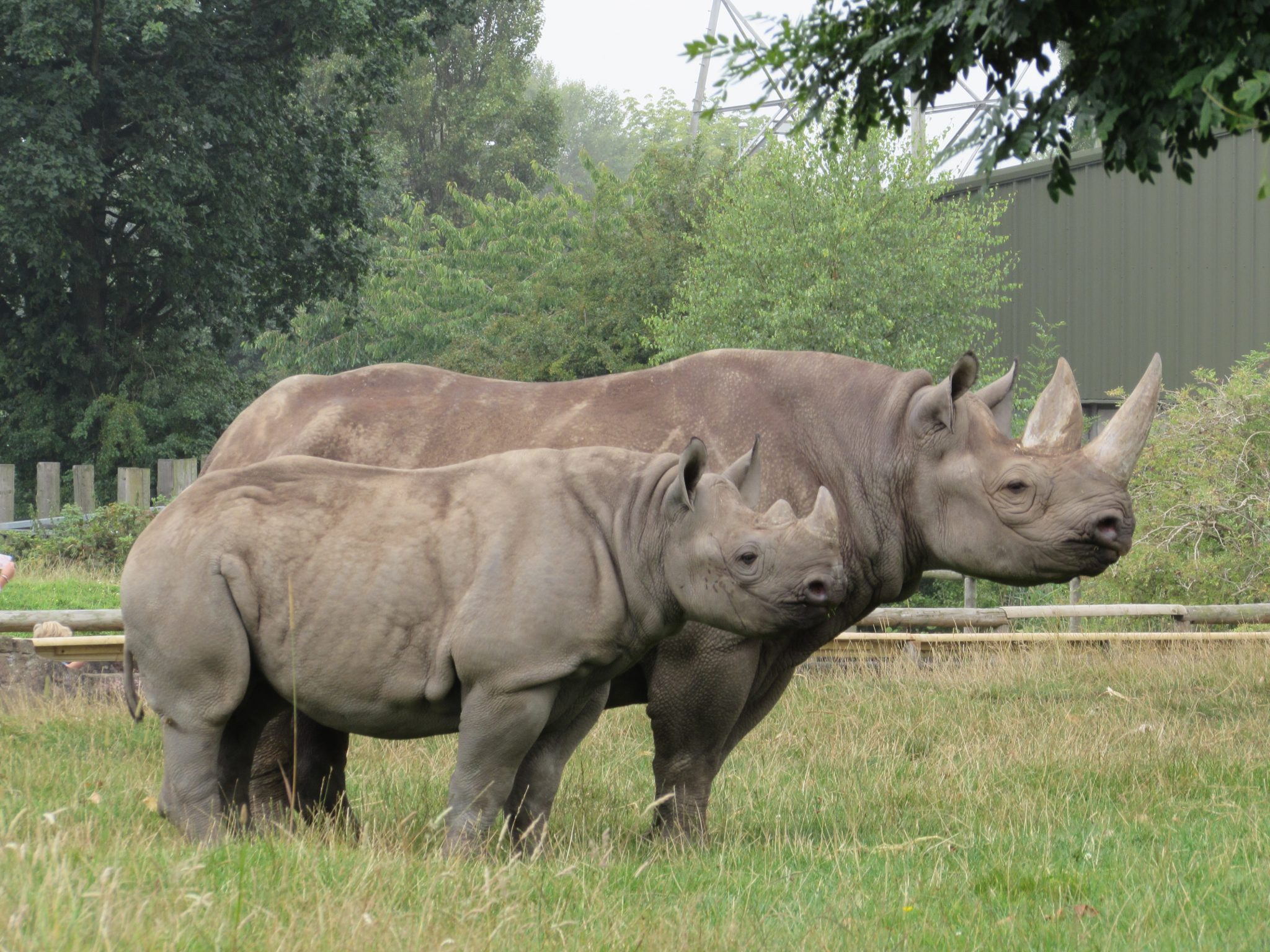 Chester Zoo Marvellous Days Out